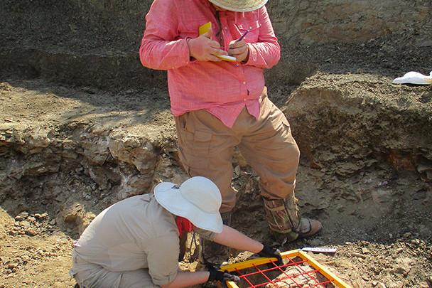 <a href='http://stock.10jqka.com.cn.lfkgw.com'>博彩网址大全</a>学生在麦卡尔哈尼采石场测绘三角龙骨骼.